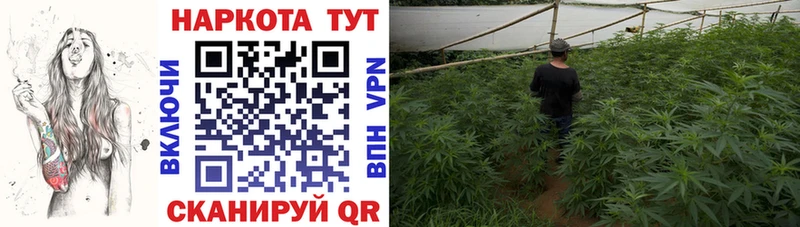 Купить закладку COCAIN  МЕФ  АМФ  Каннабис  ГАШ  СОЛЬ  Наволоки