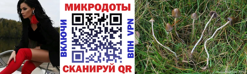 Галлюциногенные грибы мухоморы  Купить  Наволоки 